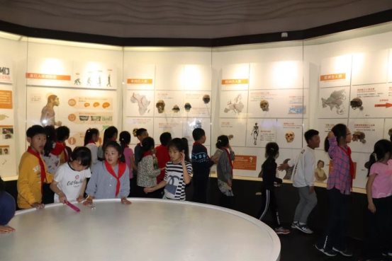 微信图片_201905051048232