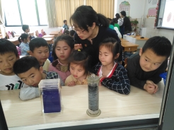 mmexport1557662659956