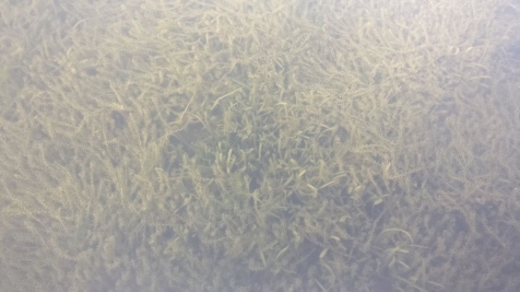 微信图片_20200204000244