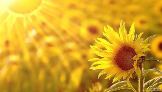 微信图片_20200209011012