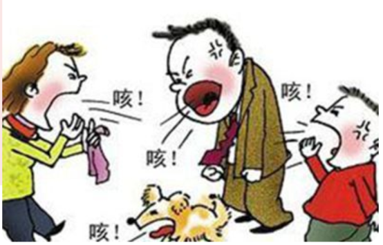 4369dce1ca256a13e8e157ce3b9a1e5e