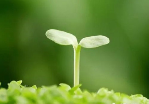 79767bb5be6f7f776970b76309d3ae62