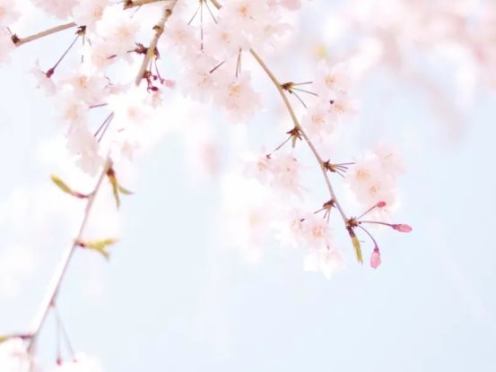 c19626bc5ae886532d79e46cf4360274