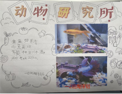 e5a758ac18bc54c636a5efe0f6e95e40