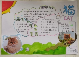 f5a61f8436e6b0989775292874e8505e