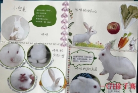 85e6d13a8fc1e4a343270826e5f9d32e