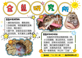 8de6610839aa382c669d6050ffc9f088