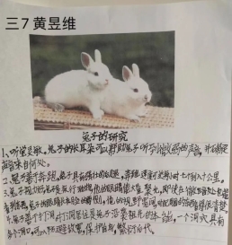 4d373e33e897812c33f675542930f7f3