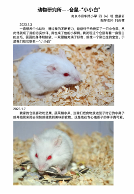 047899cb7c5c29e5208bc67d92a852c5