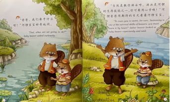 a8d8d495506c359ff2d7ce13c474da4e