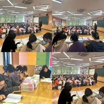 8eebf6ced919dfd31cf63fa18f23f55