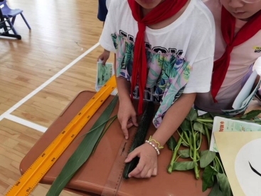 89b1f971adaf22f0047bcff4ea474ad