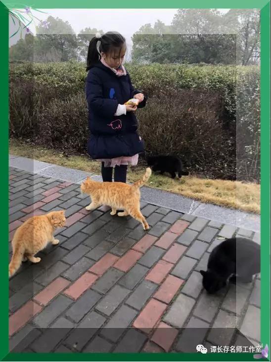 微信图片_20200313175845.jpg 微信图片_20200313175845.jpg