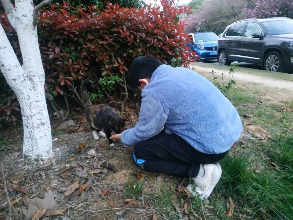 微信图片_20200407151204.jpg 微信图片_20200407151204.jpg