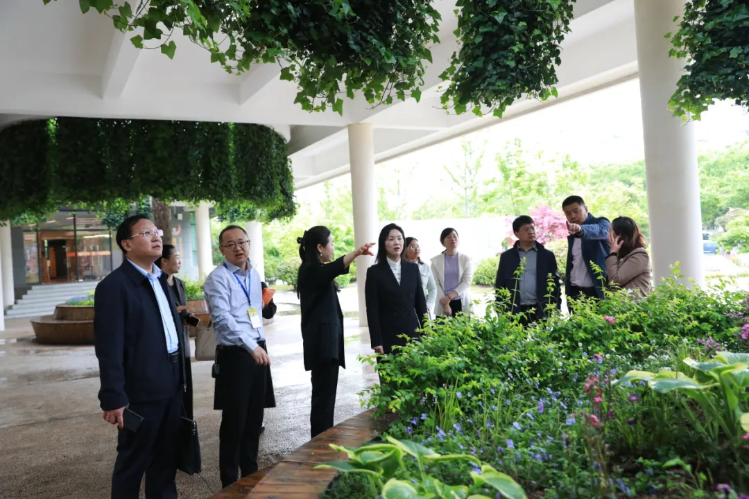 图片8.png 图片8.png