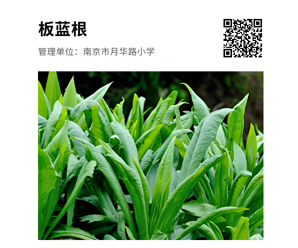 E`PFFUJ5ZLW27(INM~R0BXJ.png E`PFFUJ5ZLW27(INM~R0BXJ.png